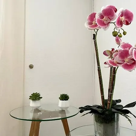 Apartment Holiday Ginestre